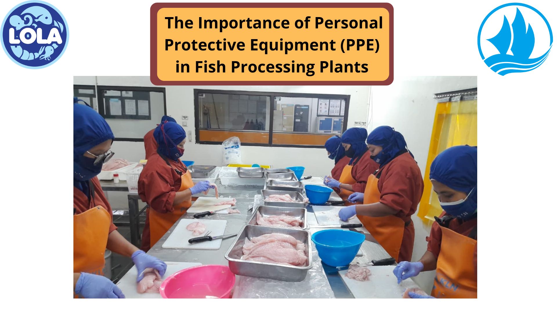  The Importance of Personal Protective Equipment (PPE) in Fish Processing Plants